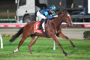 Central Bank Cranbourne 16 May 2025